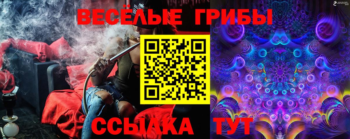 Евпатория  Галлюциногенные грибы Psilocybe  Вход с VPN  где найти наркотики  Псилоцибиновые грибы GOLDEN TEACHER 