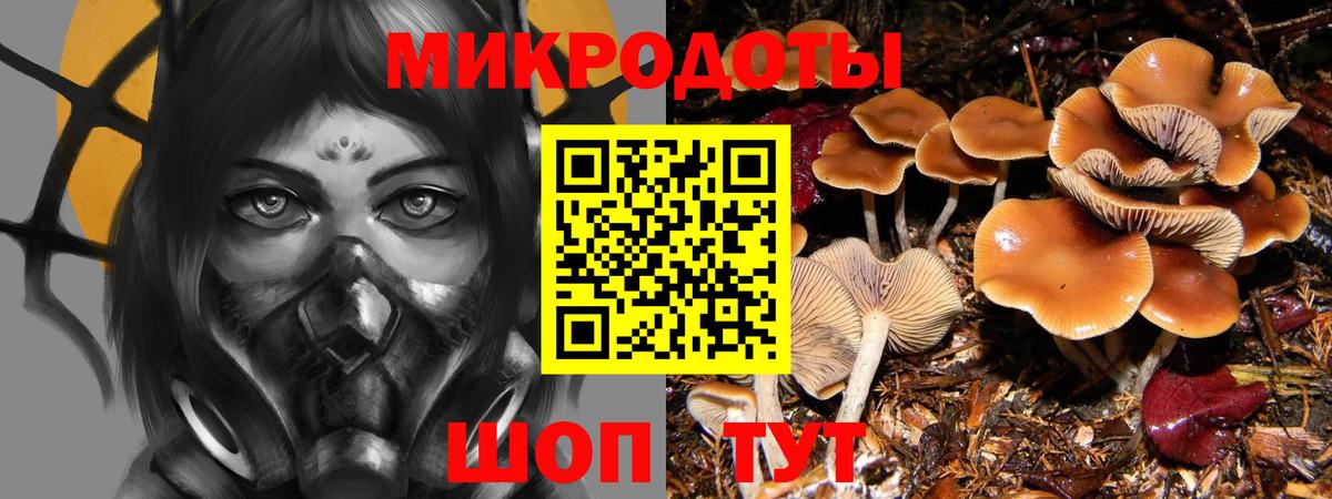 Псилоцибиновые грибы Magic Shrooms Евпатория